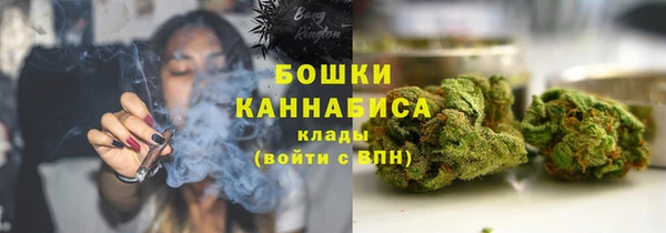 кокс Белокуриха